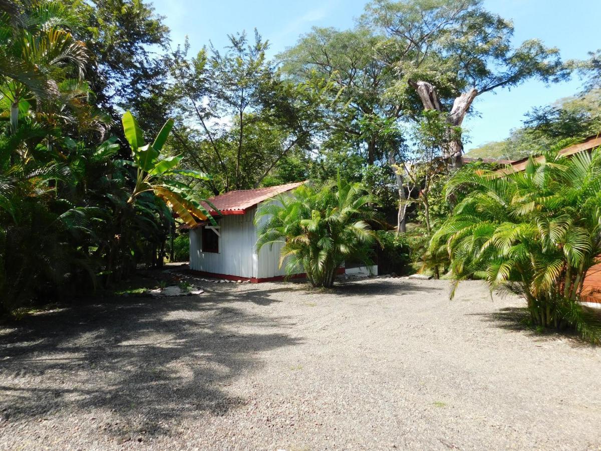 Villasjungle 1 Samara Luaran gambar