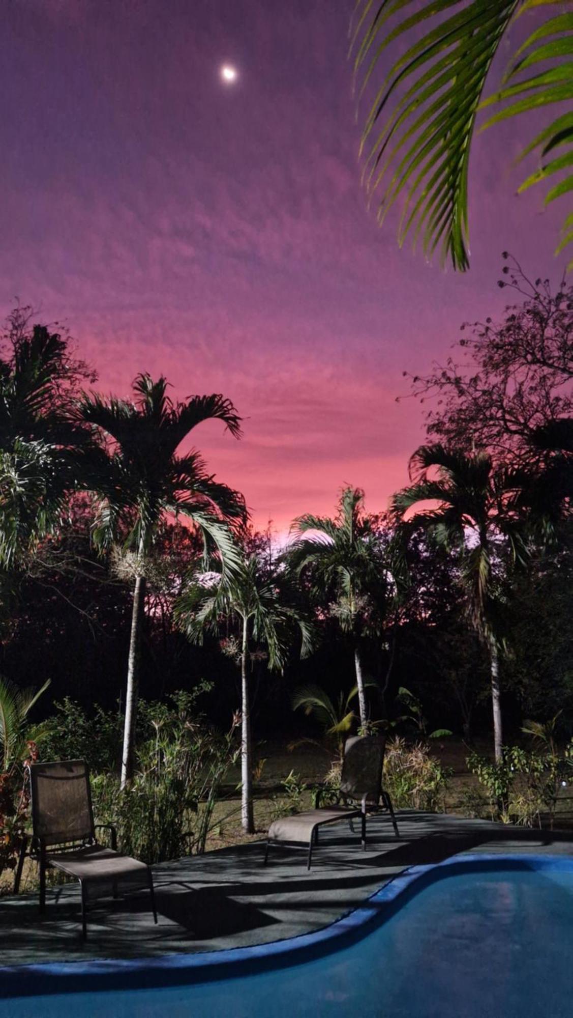 Villasjungle 1 Samara Luaran gambar