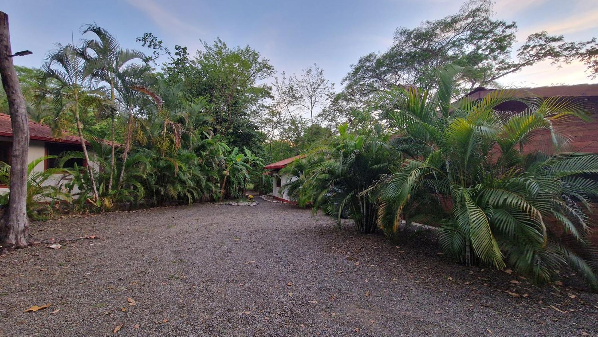 Villasjungle 1 Samara Luaran gambar